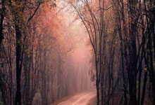 雷速体育官网：[国际足球]内马尔角球直接破门领衔一周十佳进球.