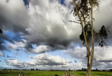 田径——南京室内世锦赛:女子1500米决赛赛况.