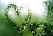 内马尔谈退出本期巴西队:感谢大家的支持,但我需要等完全伤愈.