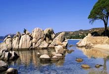 雷速体育官网：[NBA]字母哥空砍30+9 雄鹿不敌尼克斯.